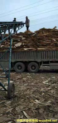  ��Ԕ����B