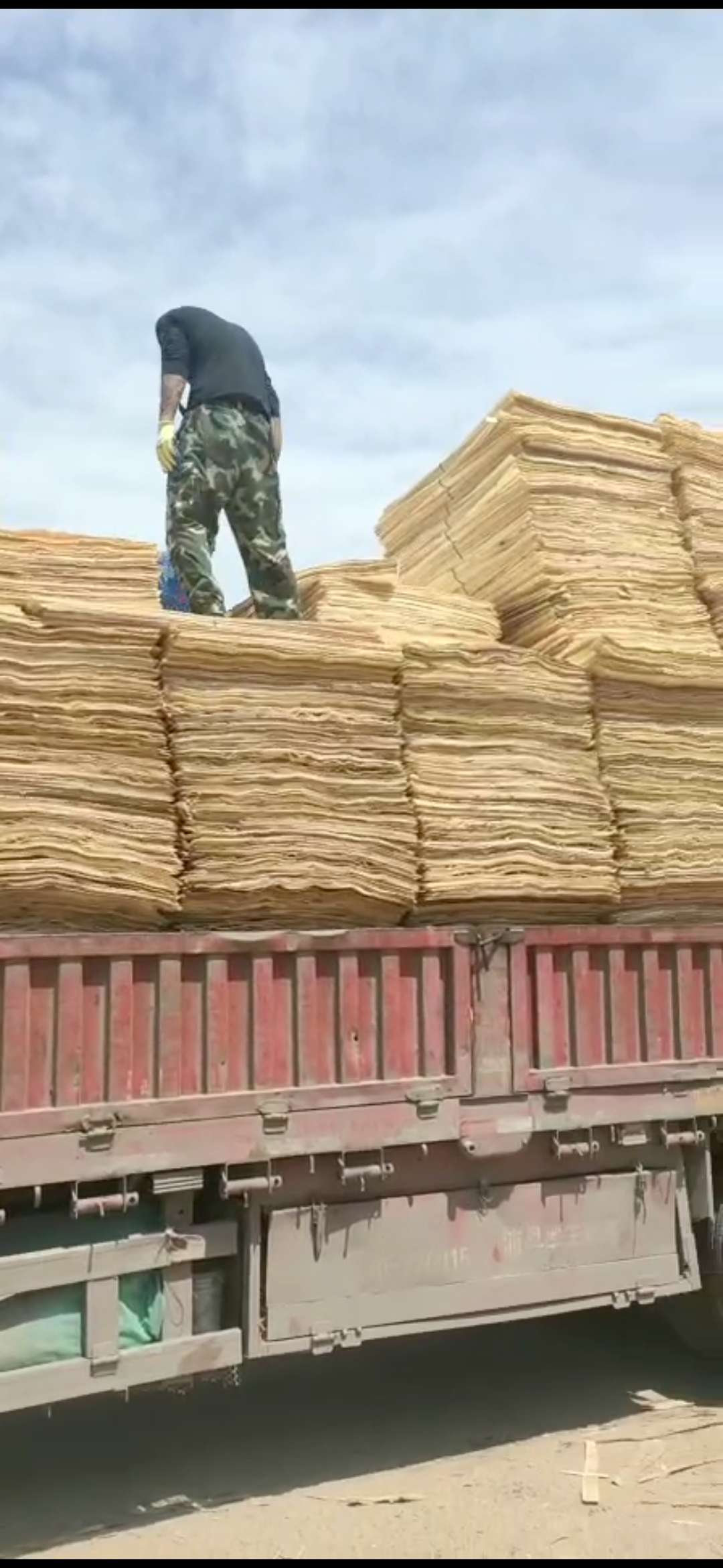  ��Ԕ��(x��)��B