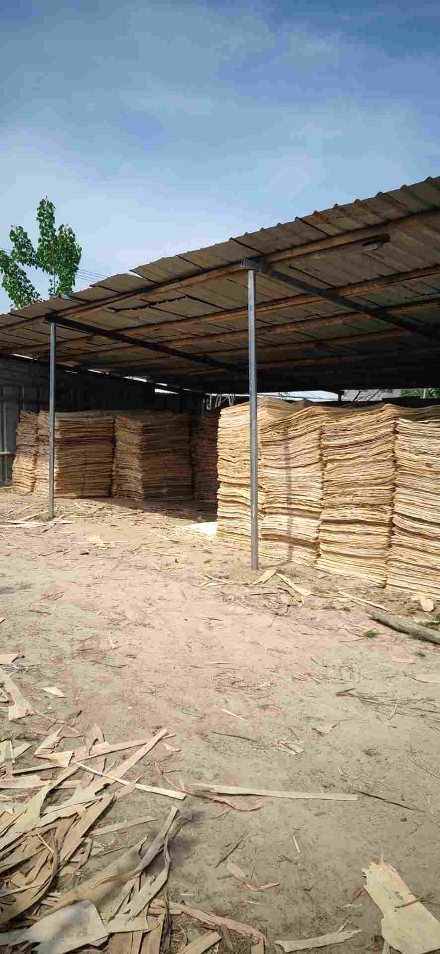  ��Ԕ��(x��)��B