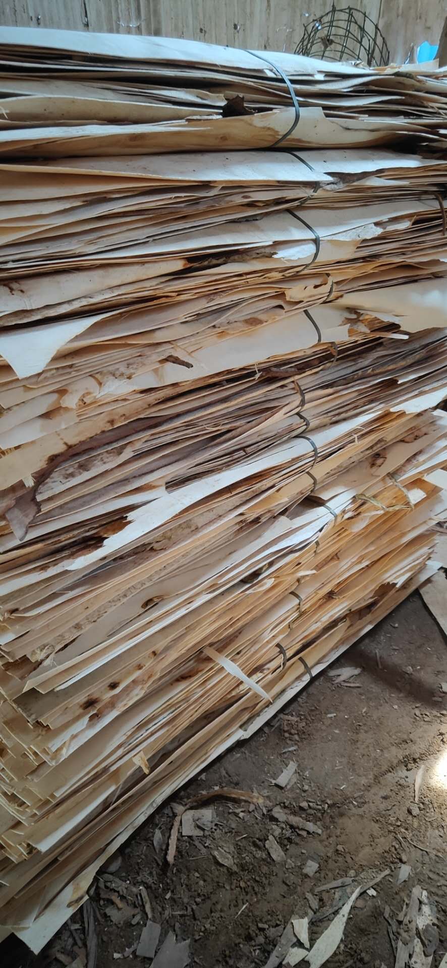  ��Ԕ��(x��)��B