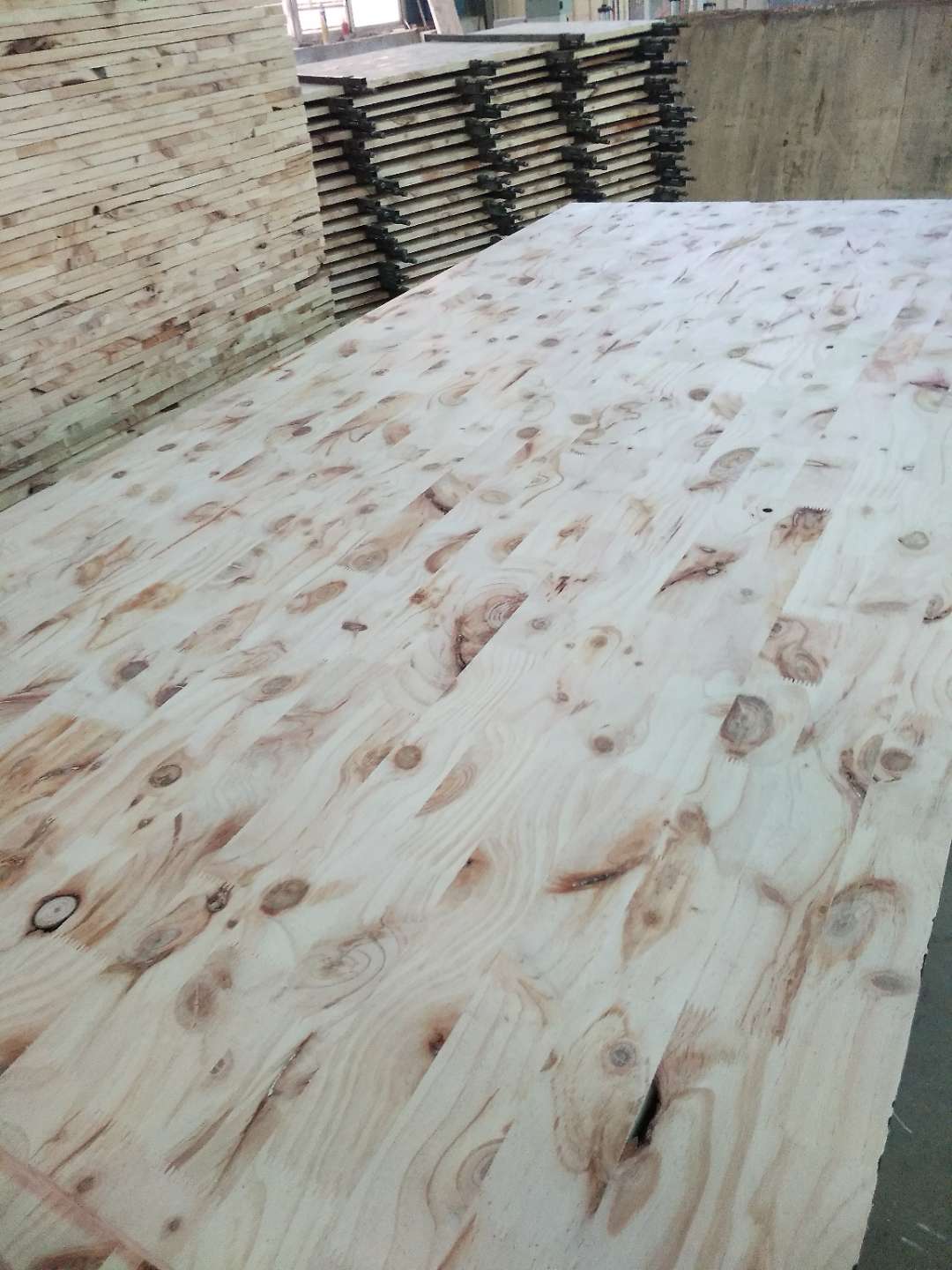 的詳細(xì)介紹