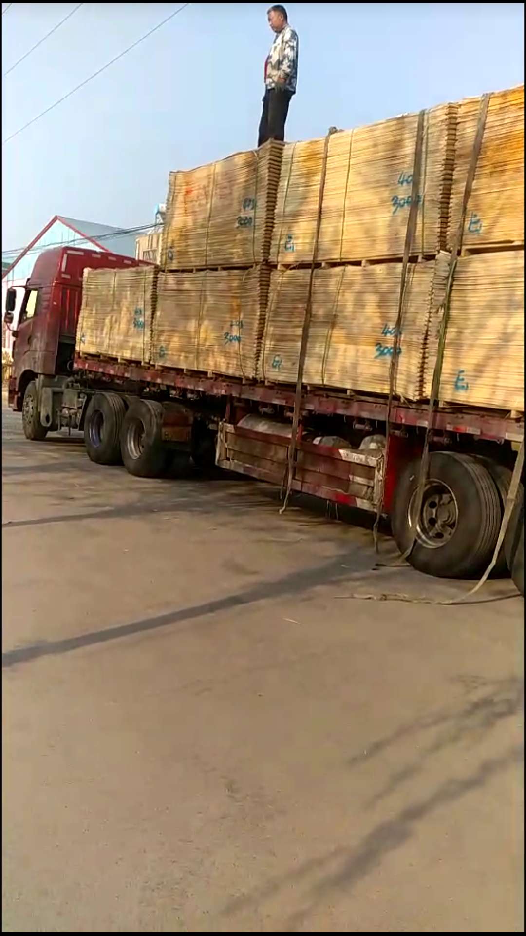 的詳細(xì)介紹