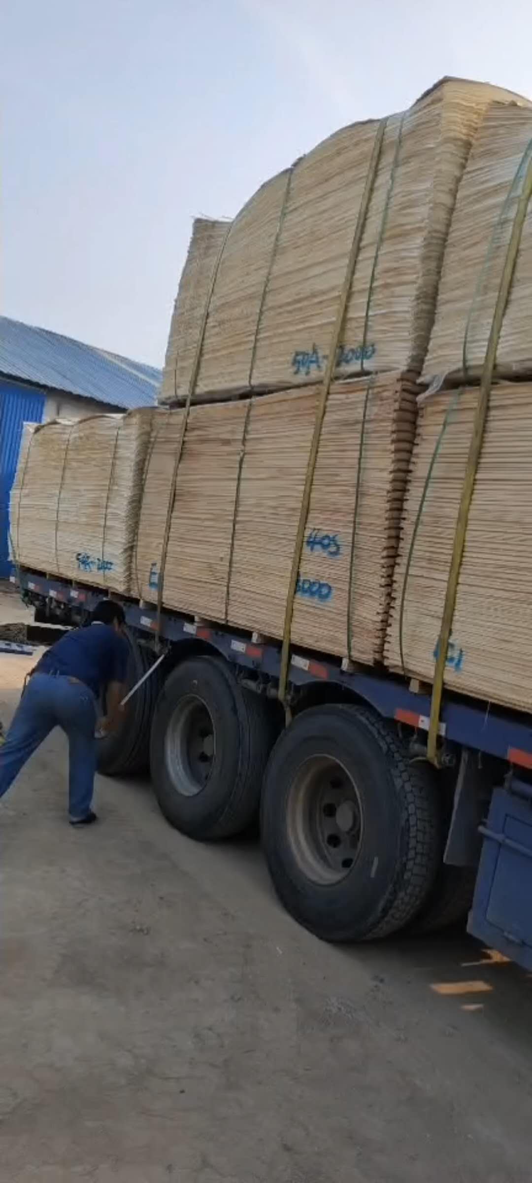 的詳細(xì)介紹