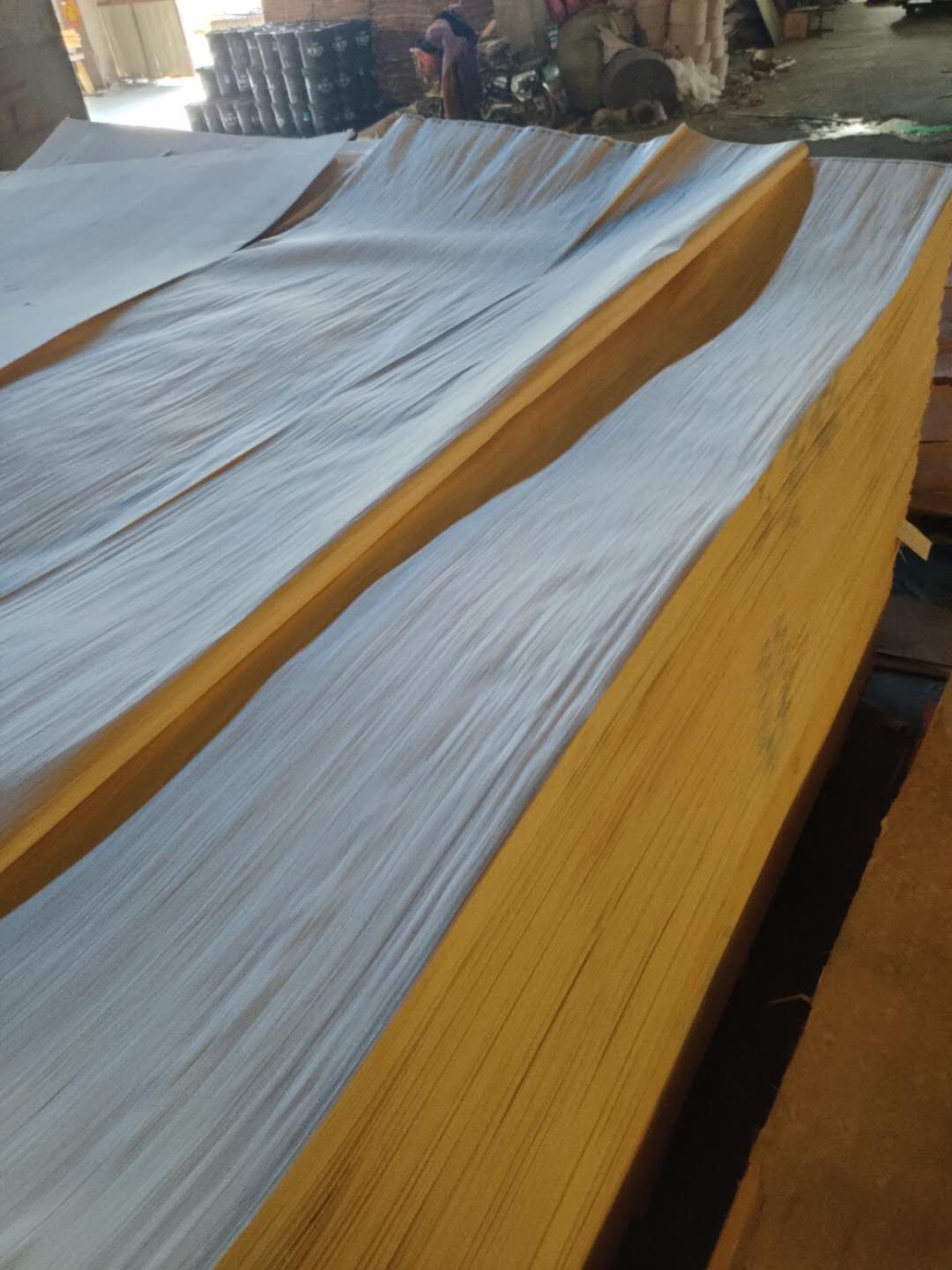 的詳細(xì)介紹