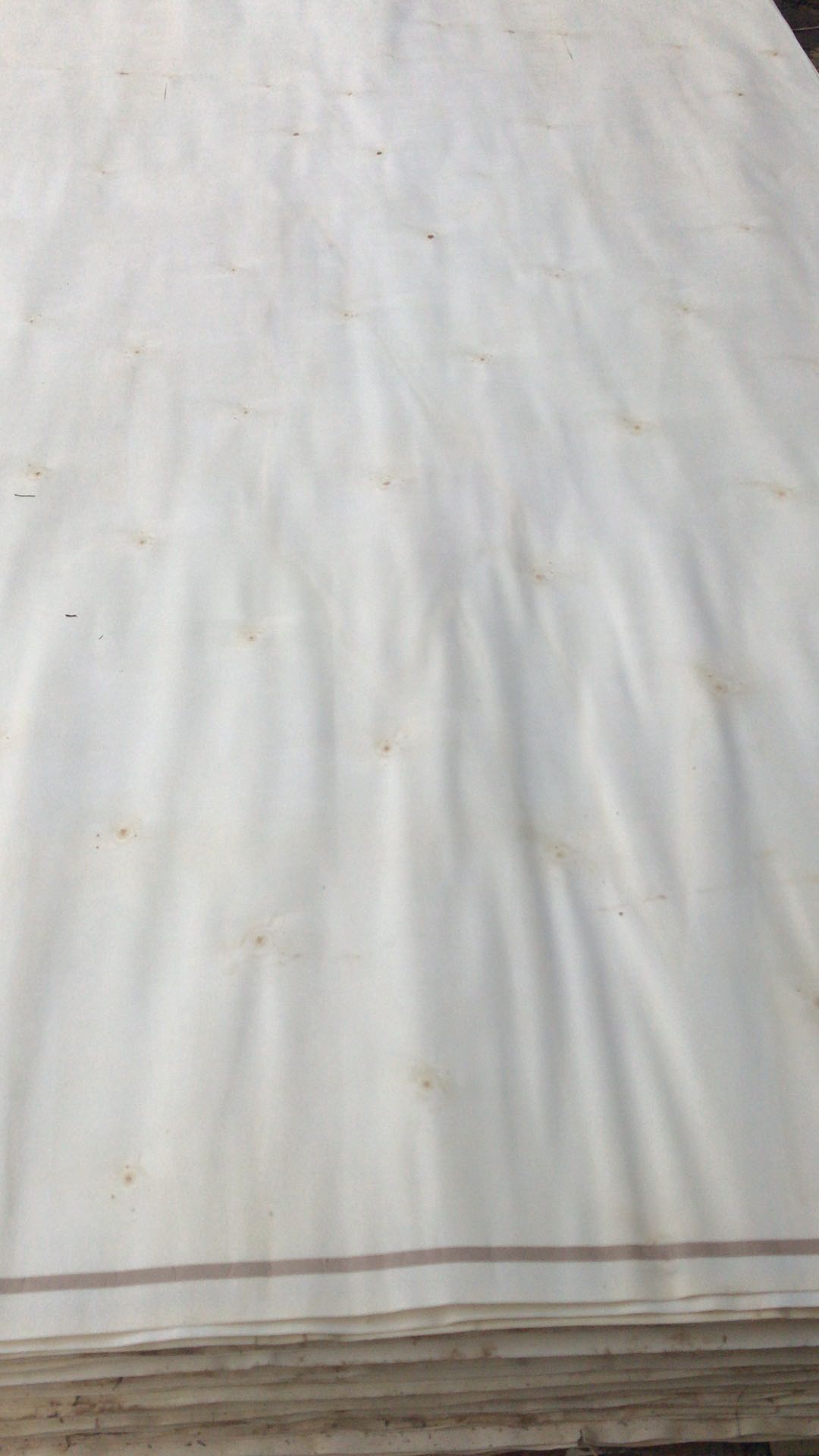  ��Ԕ����B