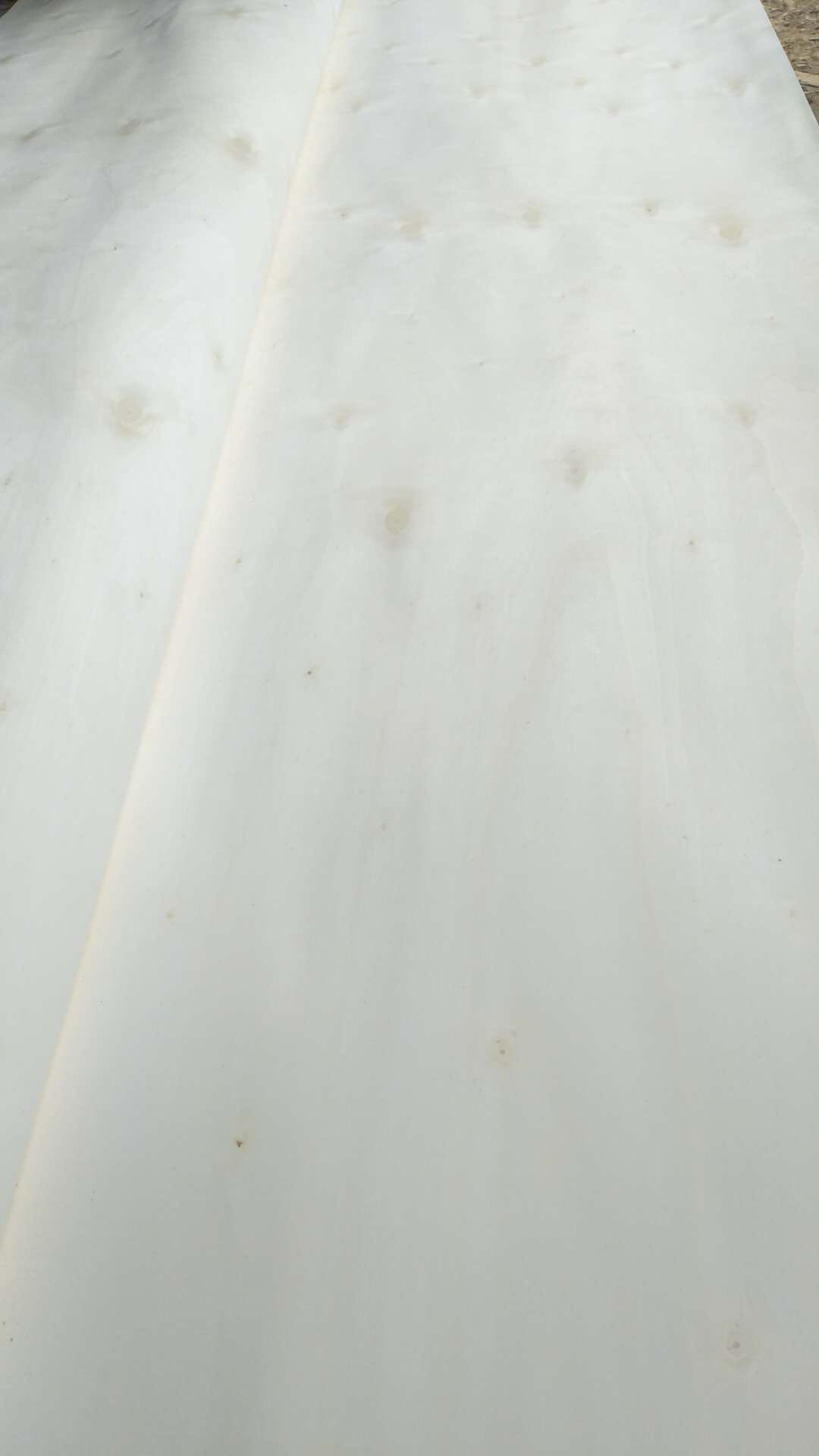  ��Ԕ����B