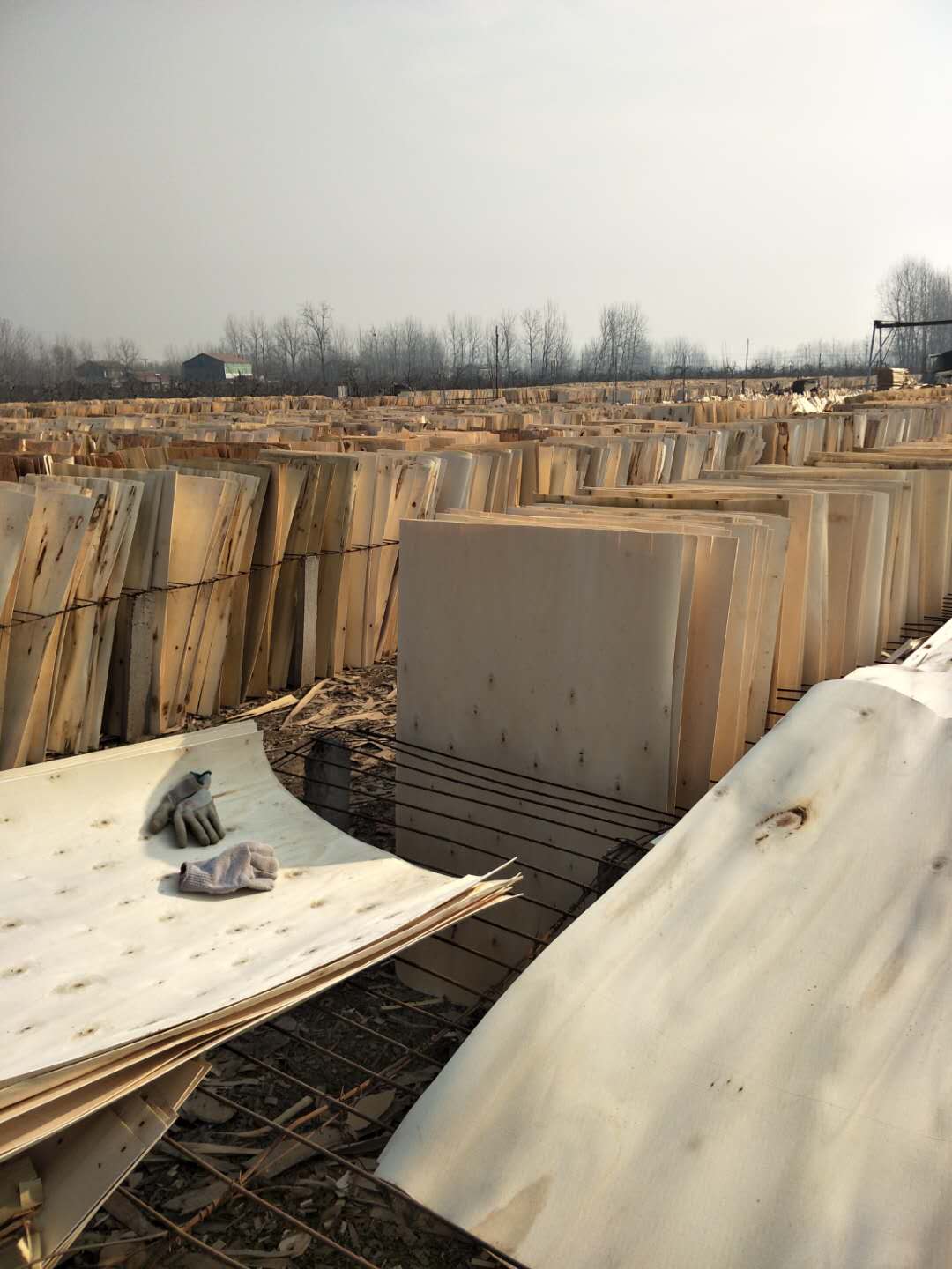  ��Ԕ����B