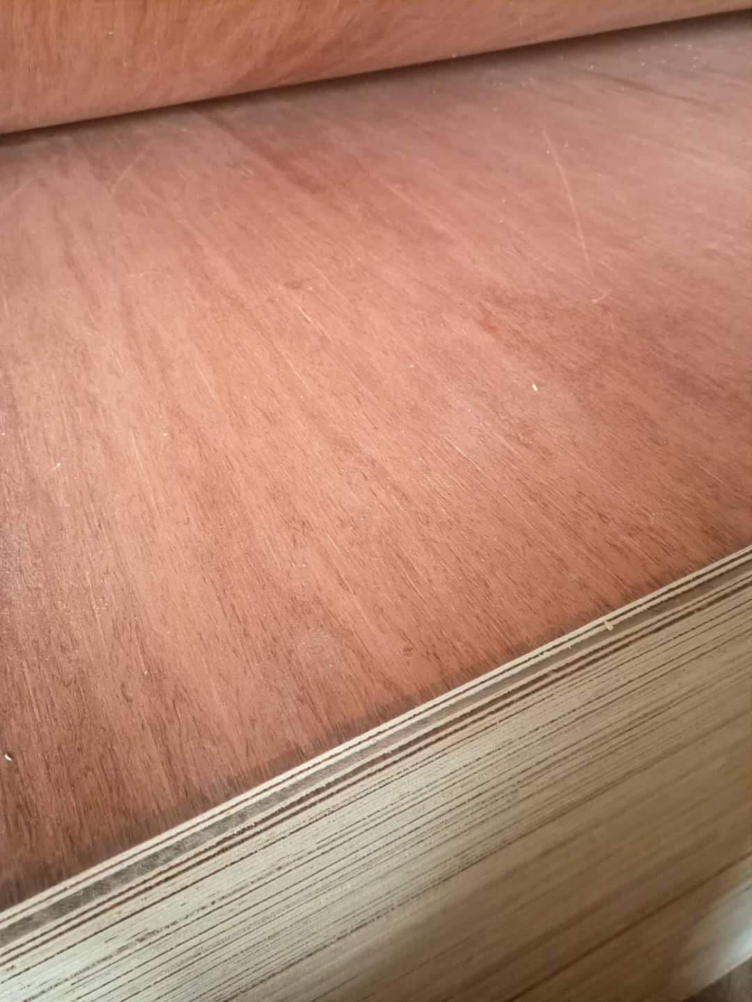 的詳細(xì)介紹