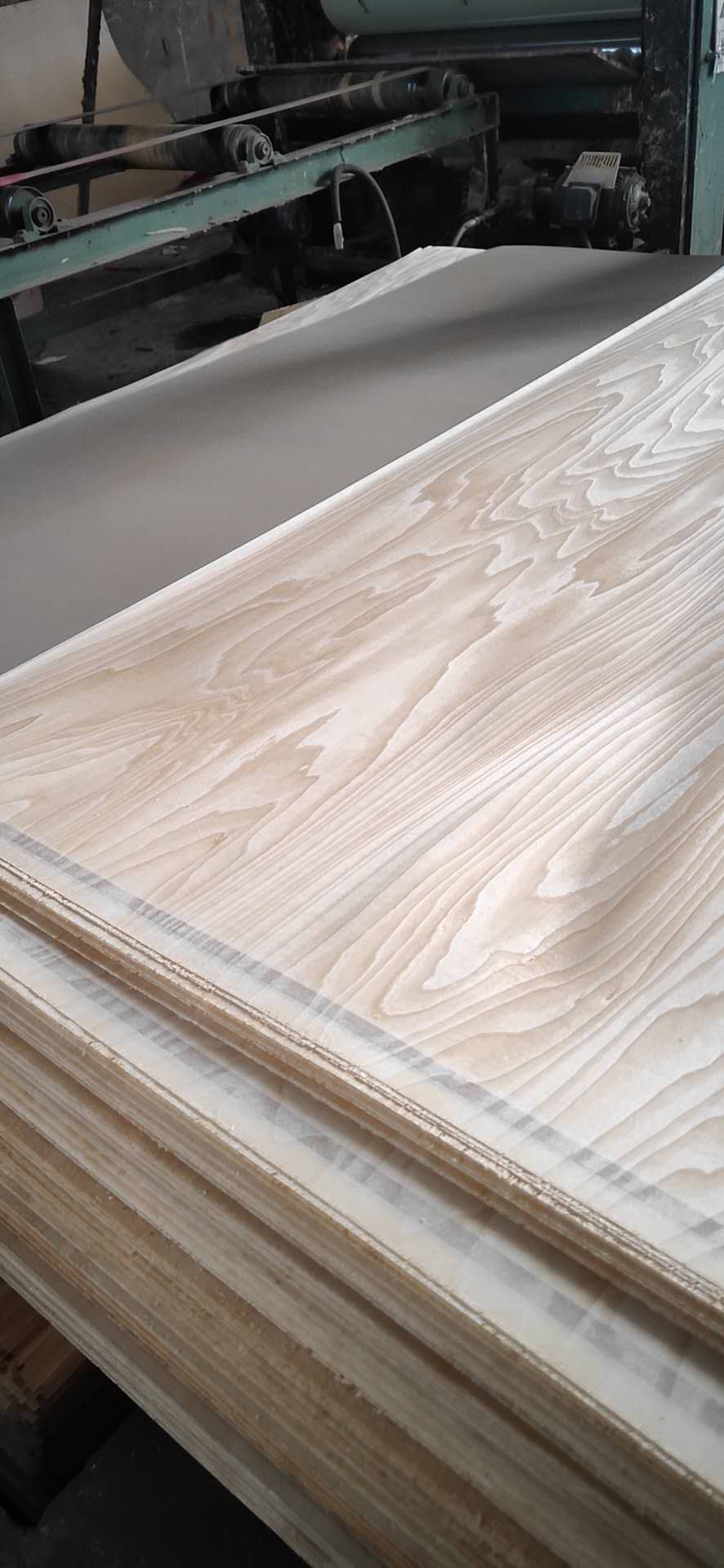 的詳細(xì)介紹