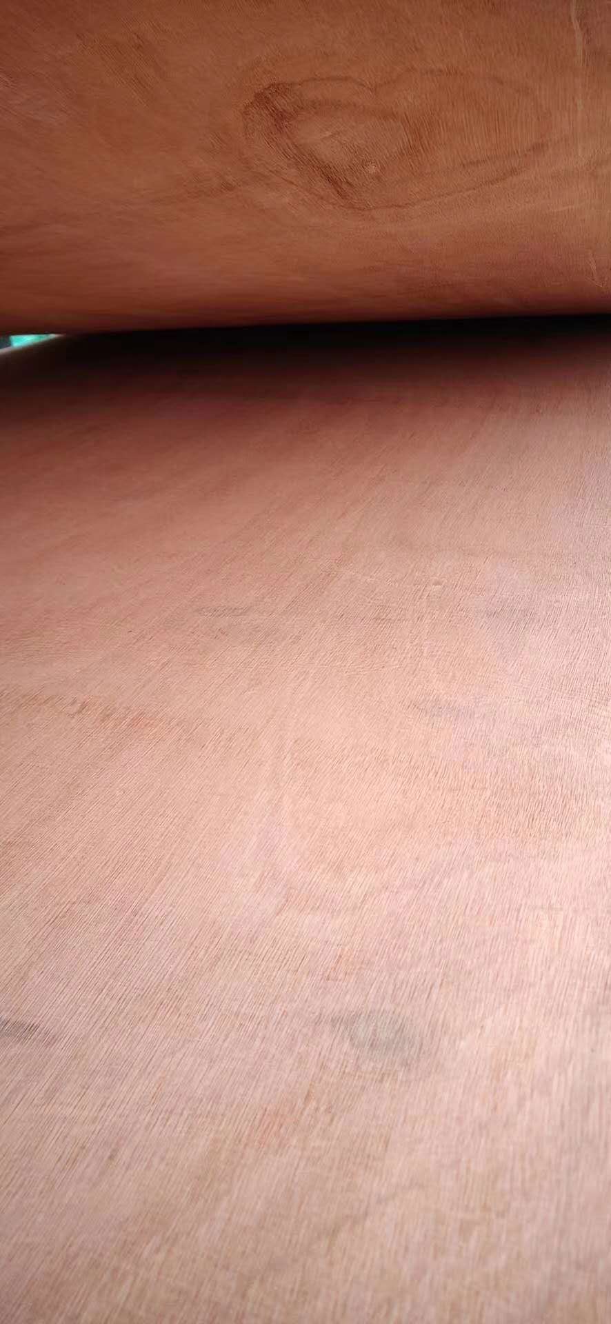 的詳細(xì)介紹