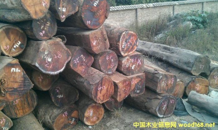 �������ϓ�������կ��Խ���^�m(x��)���P(gu��n)����t��֦ԭ�����Ĵ��M