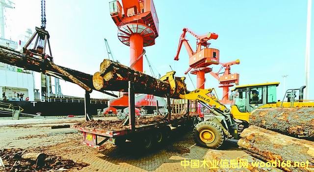 ȫ��ľ�Įa(ch��n)�I(y��)Ѳҕ֮---������Z���Ҽ�ľ���Q(m��o)�׼ӹ�ʾ���^(q��)