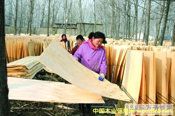 ��ɽ�hС·���(zh��n)����ľ�I(y��)�YԴ��(y��u)��(sh��)�����l(f��)չ��Ƥ�ӹ��I(y��)