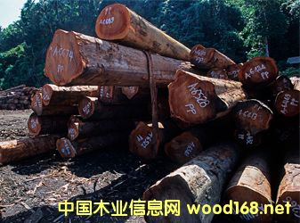 ���u(p��ng)���Ј�(ch��ng)���Ĳ������tľ���(l��i)ָ��(sh��)�յ�0.71%