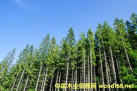 �S�ּ��F(tu��n)�������m���ٻ������a(ch��n)������λ�P(gu��n)�I�YԴ,���_�l(f��)չ���g