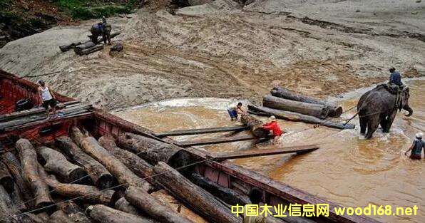 ľ�ĳ��ڇ�(y��n)�صĮ�(d��ng)�����ϓ���Ƿ���ɞ����������