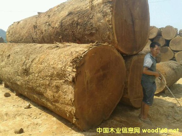 ľ�Y(ji��)��(g��u)����-����ľɏľ�ď�(qi��ng)�ȵȼ��u��