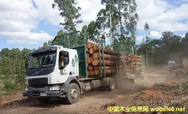 �������M������URUFOR���S---�����a(ch��n)��܇һ���Ԅӻ����a(ch��n)