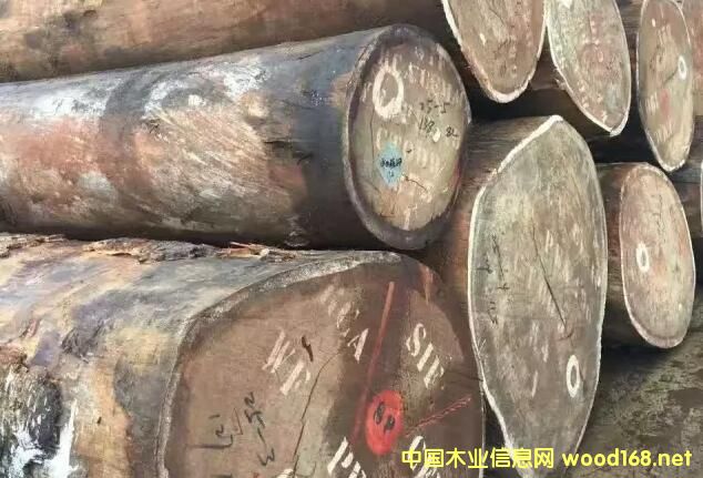 ɳ����ľ���Ј�(ch��ng)�����{(di��o)�飺�̼ҟo����(r��n)���� �Ј�(ch��ng)�r(ji��)��߀���^�m(x��)�µ�