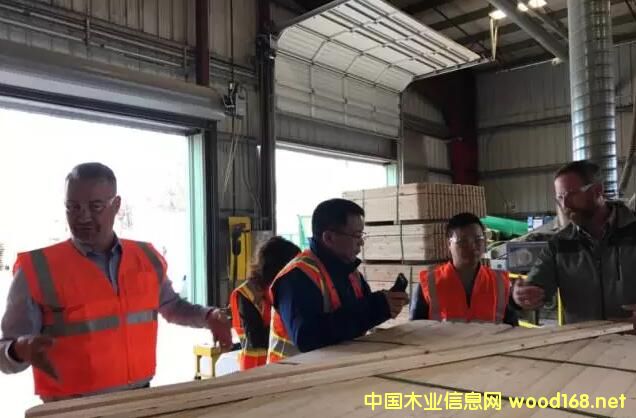 �������M(j��n)GP���ݺ���Rexľ�ďS��2017������~�İ�Ŀ���