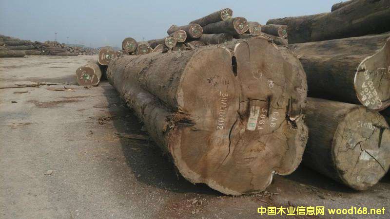 ����Ϳ���¡ľ�ĳ��ڲ�������������p��