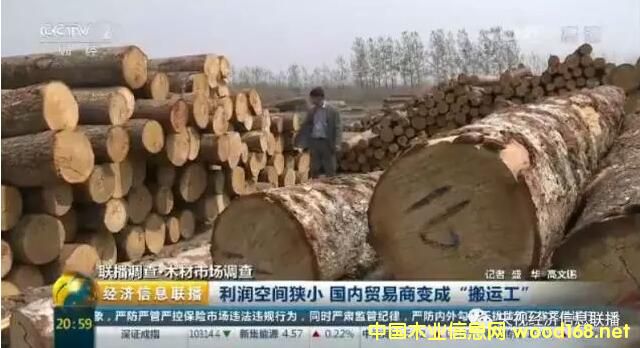 ��ҕľ���Ј��{(di��o)�飺�M(j��n)��ľ�Ĵ������ ľ���Q(m��o)��������խ׃�ɡ���