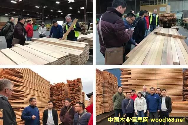 2017������~�İ�Ŀ���F(tu��n)�A�M�Y(ji��)��