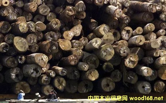 ���޼tľ����Խ��(l��i)Խ�y��δ��(l��i)�Ј�(ch��ng)�Ͽ��ütľ߀ʣ������