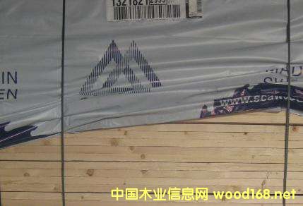 �����Ј��W�޲��M(j��n)�������m(x��)����������ɼ����