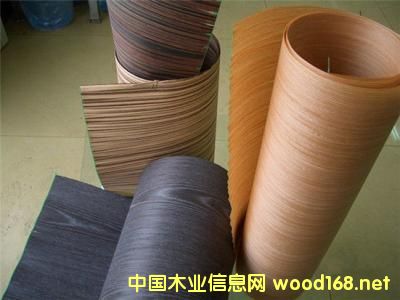 ȫ��Ƽ�ľ�Ј����L���^��2022�ꌢ�_413�|��Ԫ