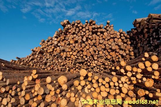 ���ô�߹��L�A���Nľ�� ���ܵ��Ї�(gu��)�Ј�(ch��ng)����