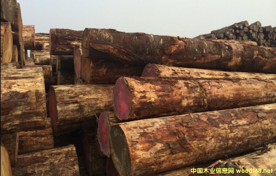 ��(y��u)�|(zh��)�o(w��)�{(l��n)׃ݗ���Ɏ�(k��)��漱�������������_����؛ģʽ