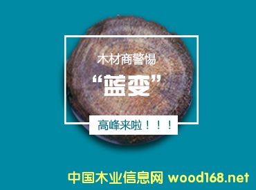 ������ľ��ԭ���ό��M(j��n)���{(l��n)׃�߷���