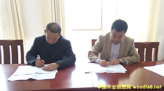 ɽ�|����ľ�I(y��)�����mɽ��ʢľ�I(y��)�����ƽ�ؿh�߶�ľ�I(y��)�a(ch��n)�I(y��)�@