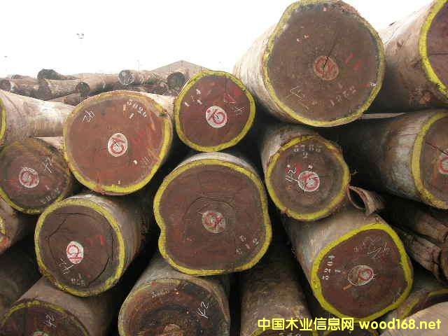 ���Hľ���Ј��^�죺�W��������(qi��ng)�����L�r������