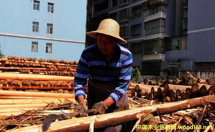 ��Ϫ�(zh��n)��|ľ���ѳɞ���|�؅^(q��)���ľ�Ľ�(j��ng)�I�Ј�