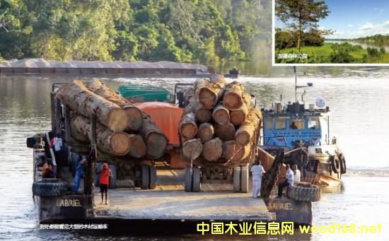 ��(gu��)�Hľ�Įa(ch��n)�I(y��)�@Ѳҕ֮---����FMC�Ҿ����a(ch��n)�N(xi��o)�ۼ�ɢ��