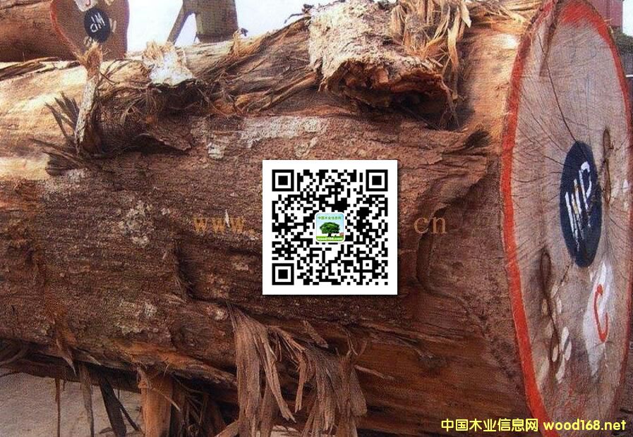 ľ�İٿƣ��S�O�ţ����ȸľ���S�u�����ٽzľ��