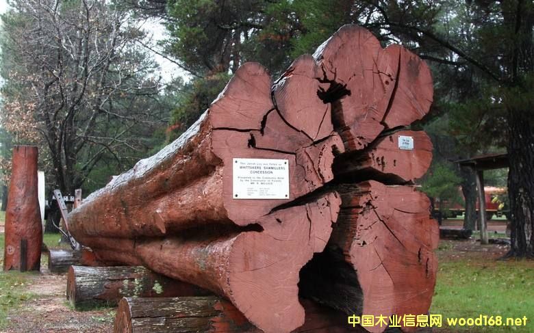 ľ�İٿƣ��Z��ľ���������׷Q(ch��ng)����Ѫ̴