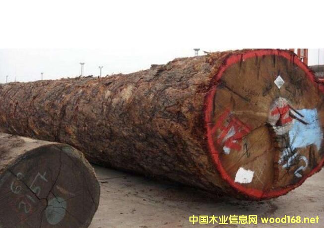 ���µڂ����ߟ��Ј� �r(ji��)������������̼ҡ��哌��