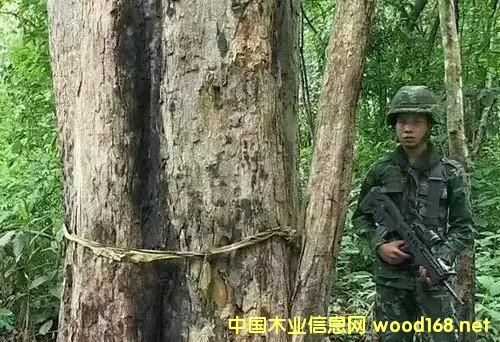 �����@80���F��˽��ľ��,�����ټӴ�����˽������