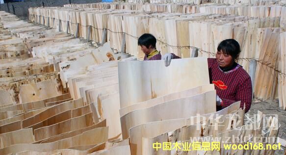 �(xi��ng)�������(zh��n)��(y��u)�|(zh��)��Ƥ���N���K��ɽ�|�����յ�ʡ