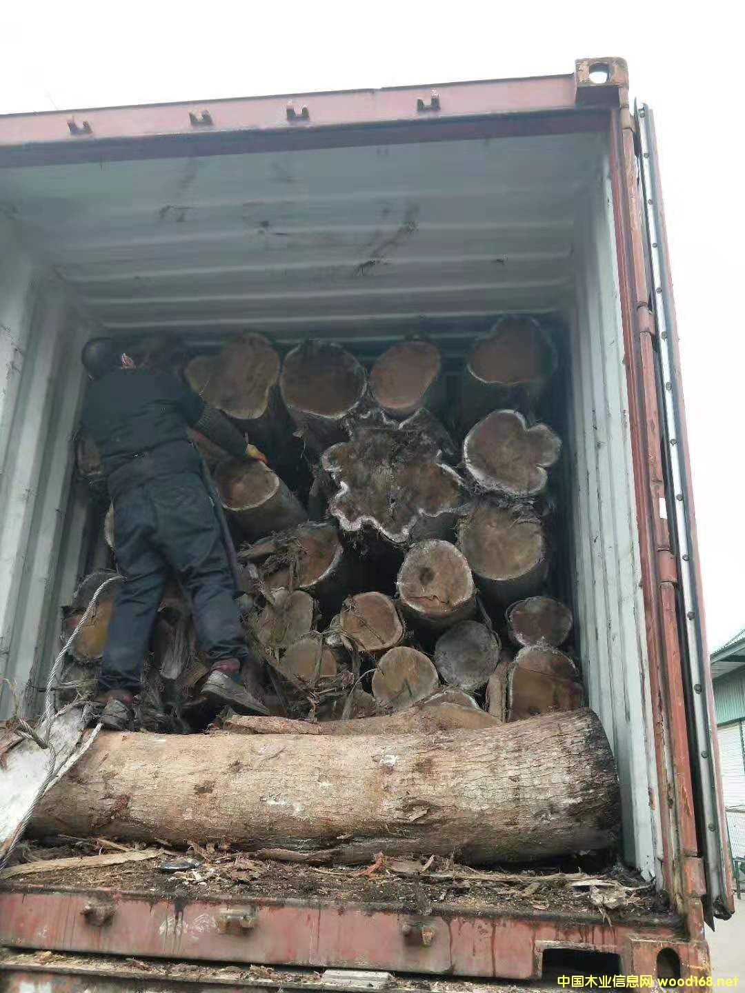 ���ڴ��~��˼ԭľ1��Ԕ��(x��)��B