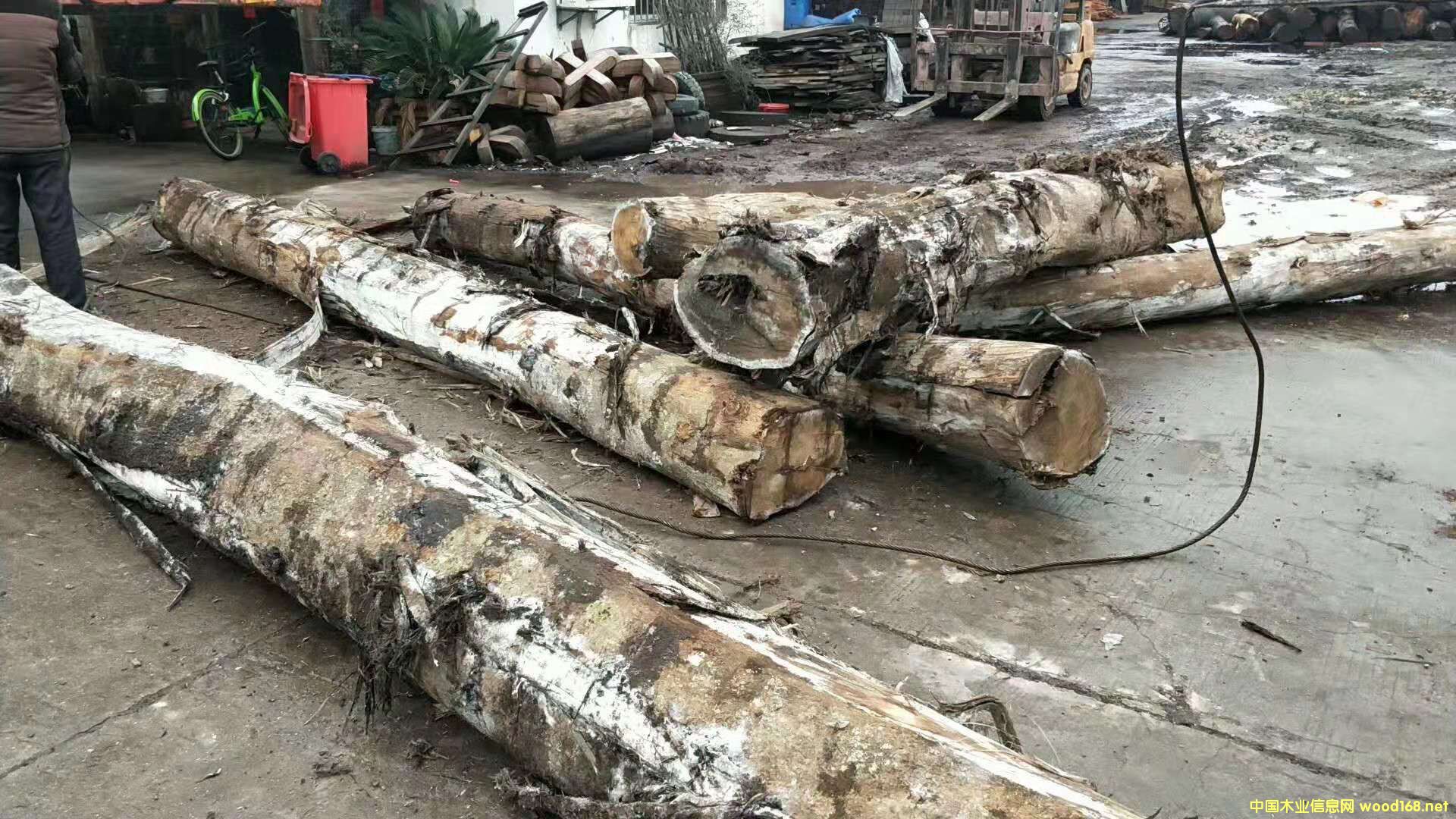 ���ڴ��~��˼ԭľ2��Ԕ��(x��)��B