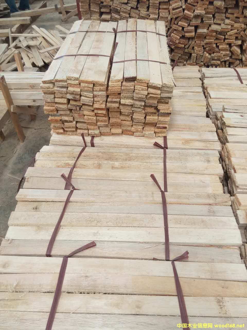 �R���װ�l��Ԕ��(x��)��B