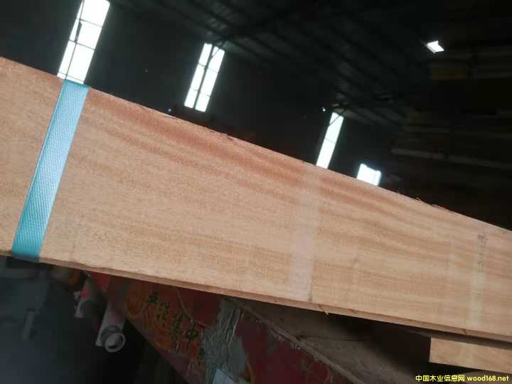 �һ�о�ذ�����ë