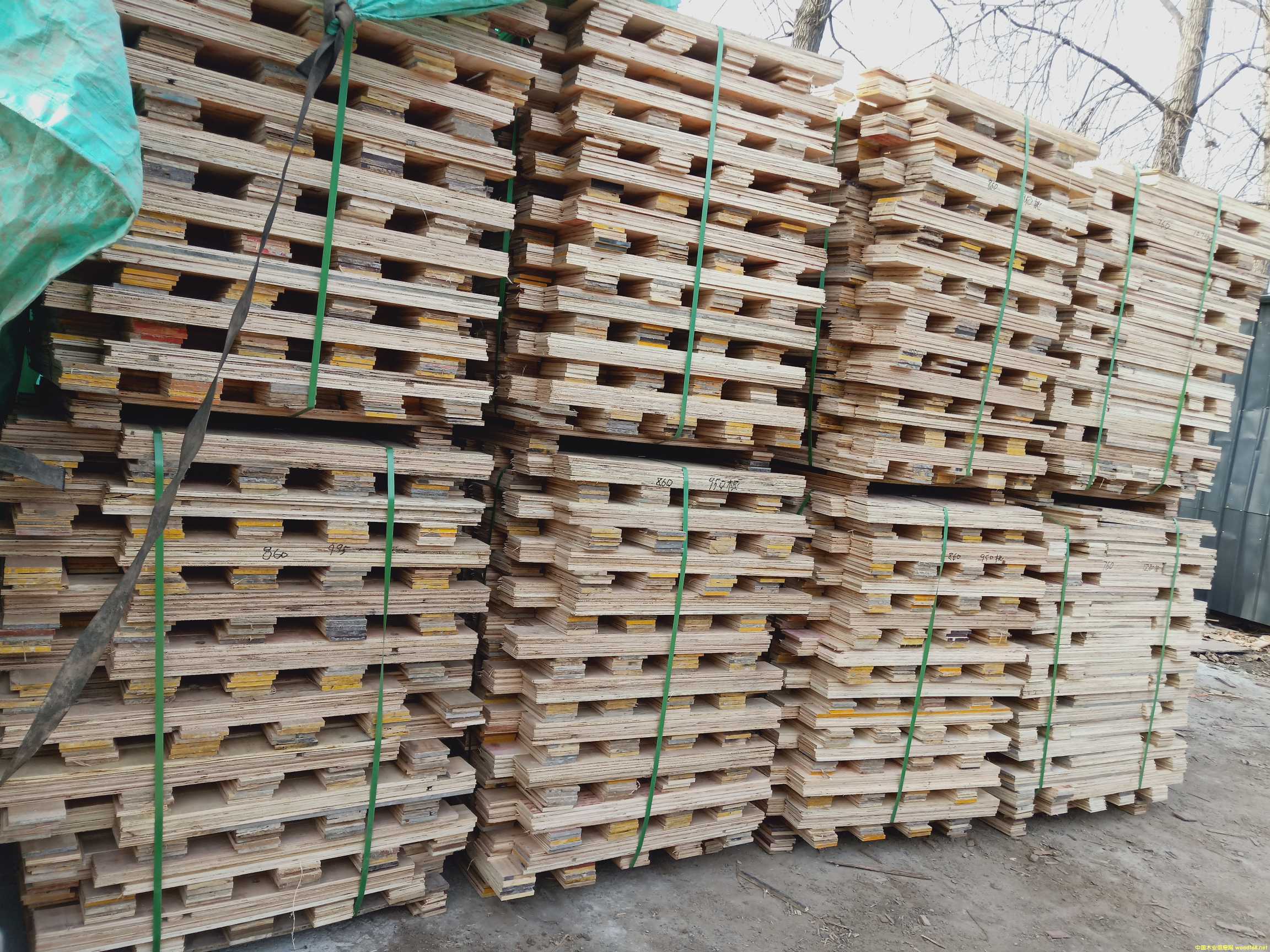  ��Ԕ��(x��)��B