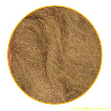 椰絲的詳細(xì)介紹