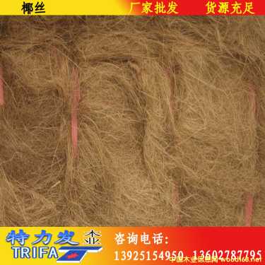 椰絲的詳細(xì)介紹