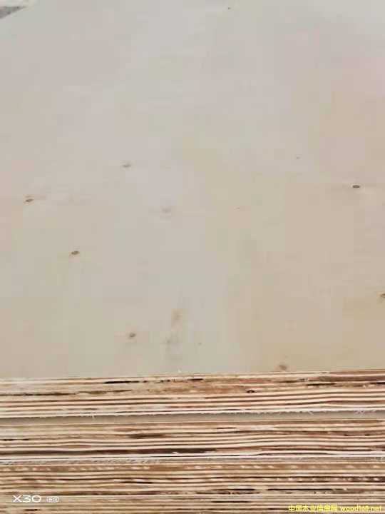 30mm�p�N��ľƤ